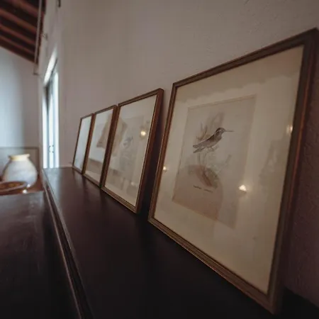 Sant'anna Villa