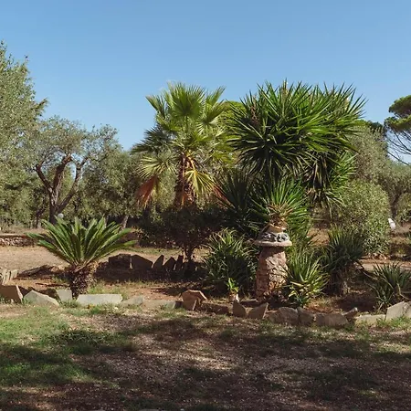 Sant'anna אלגהרו